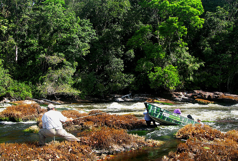 13 amazonas camaiu