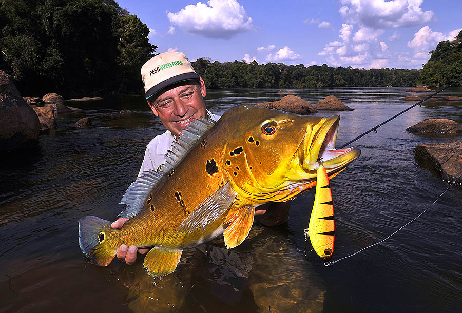 29 amazonas river sucunduri