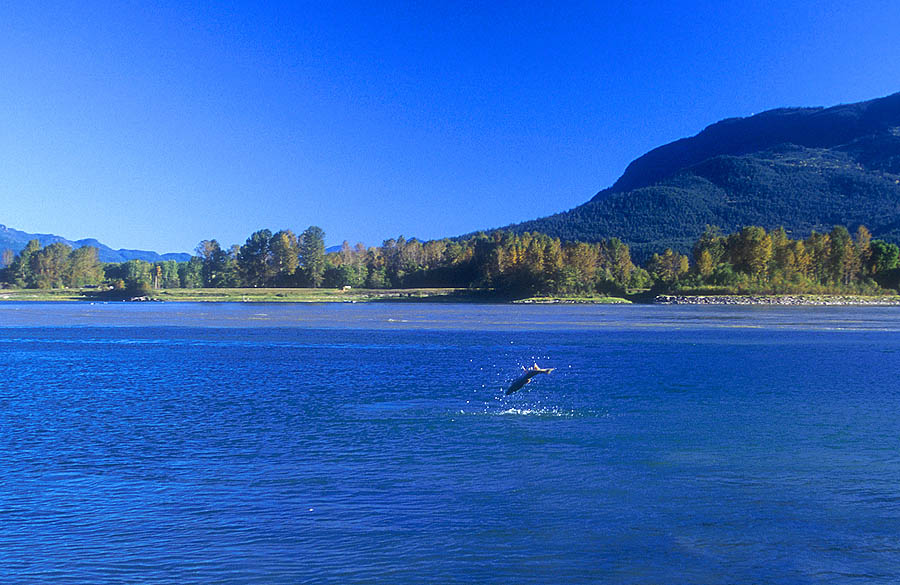 39 british columbia fraser river