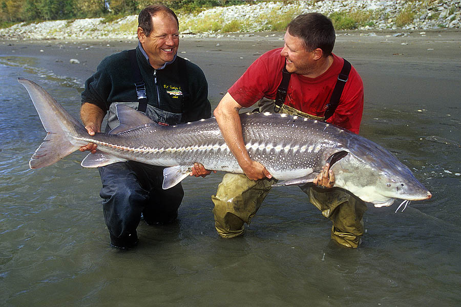 09 british columbia fraser river