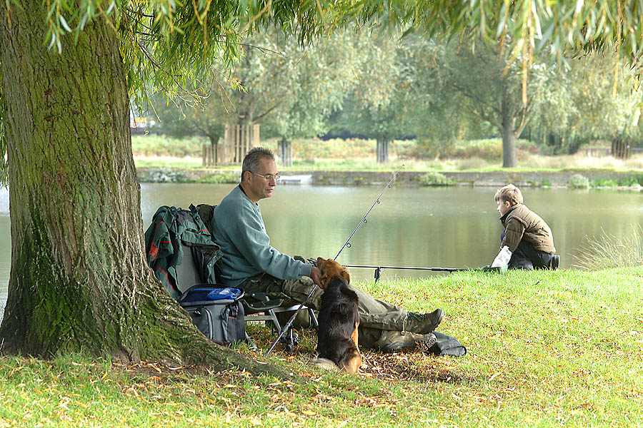 02 london bushy park