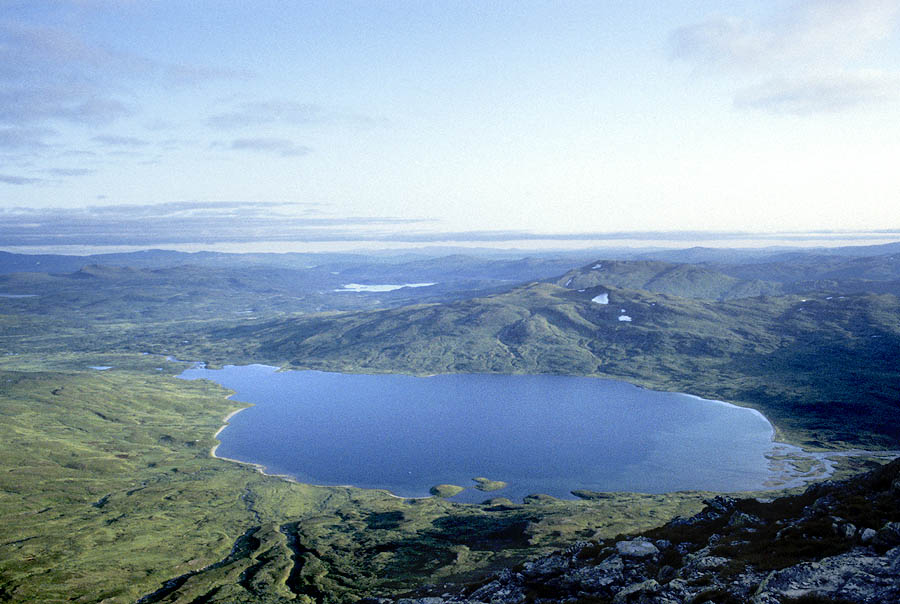 04 lapland wild trout