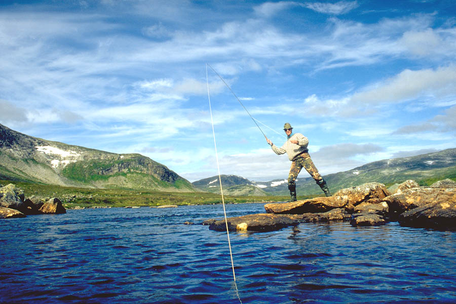 20 lapland wild trout