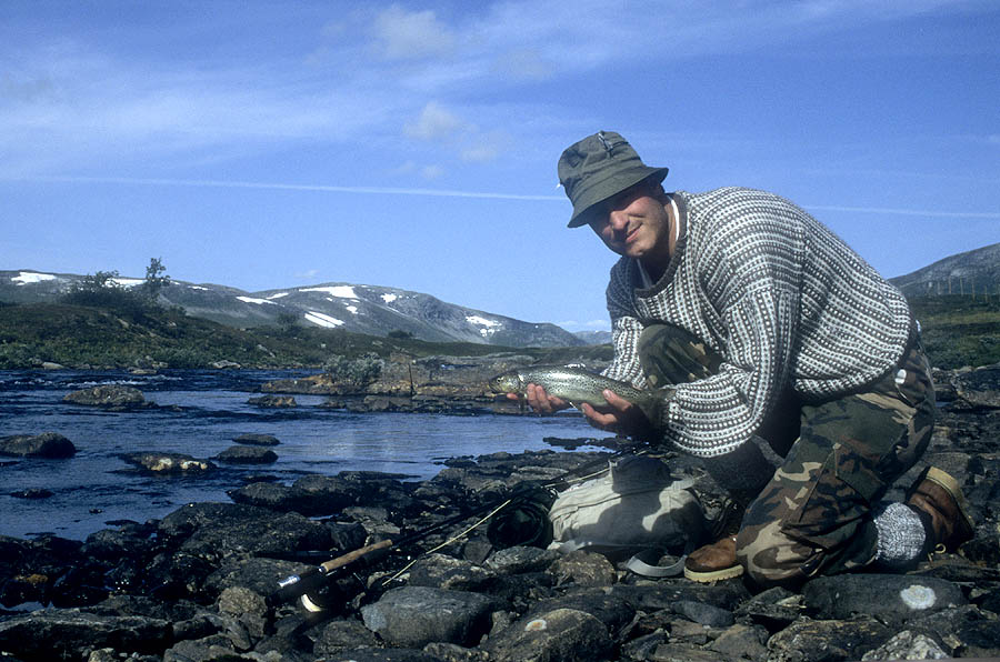 70 lapland wild trout