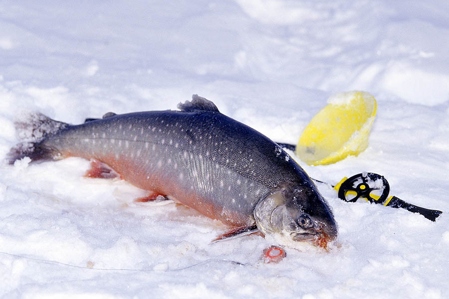 29 jaemtland oestersund