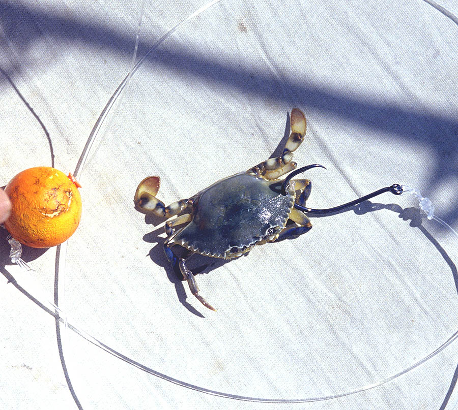 21 florida islamorada