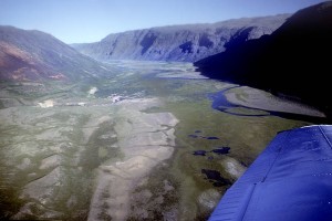 Greenland - Arctic Char