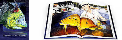 images/image-hover/dreamfishing_book_6.jpg#joomlaImage://local-images/image-hover/dreamfishing_book_6.jpg?width=400&height=133